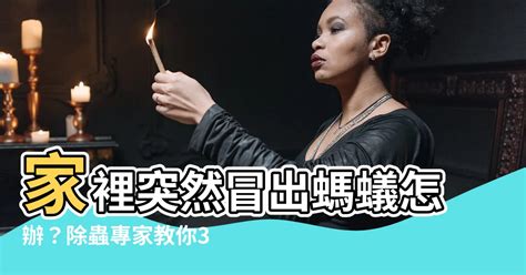 家中有蟻怎辦|家裡突然冒出很多小螞蟻怎麼辦？滅蟲專家教3招徹底消滅，1個便。